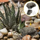 Камуфляжный ящик для хранения ключей, безопасный уличный Запасной для грязного оружия, держатель для ключей, садовые скрывающие контейнеры