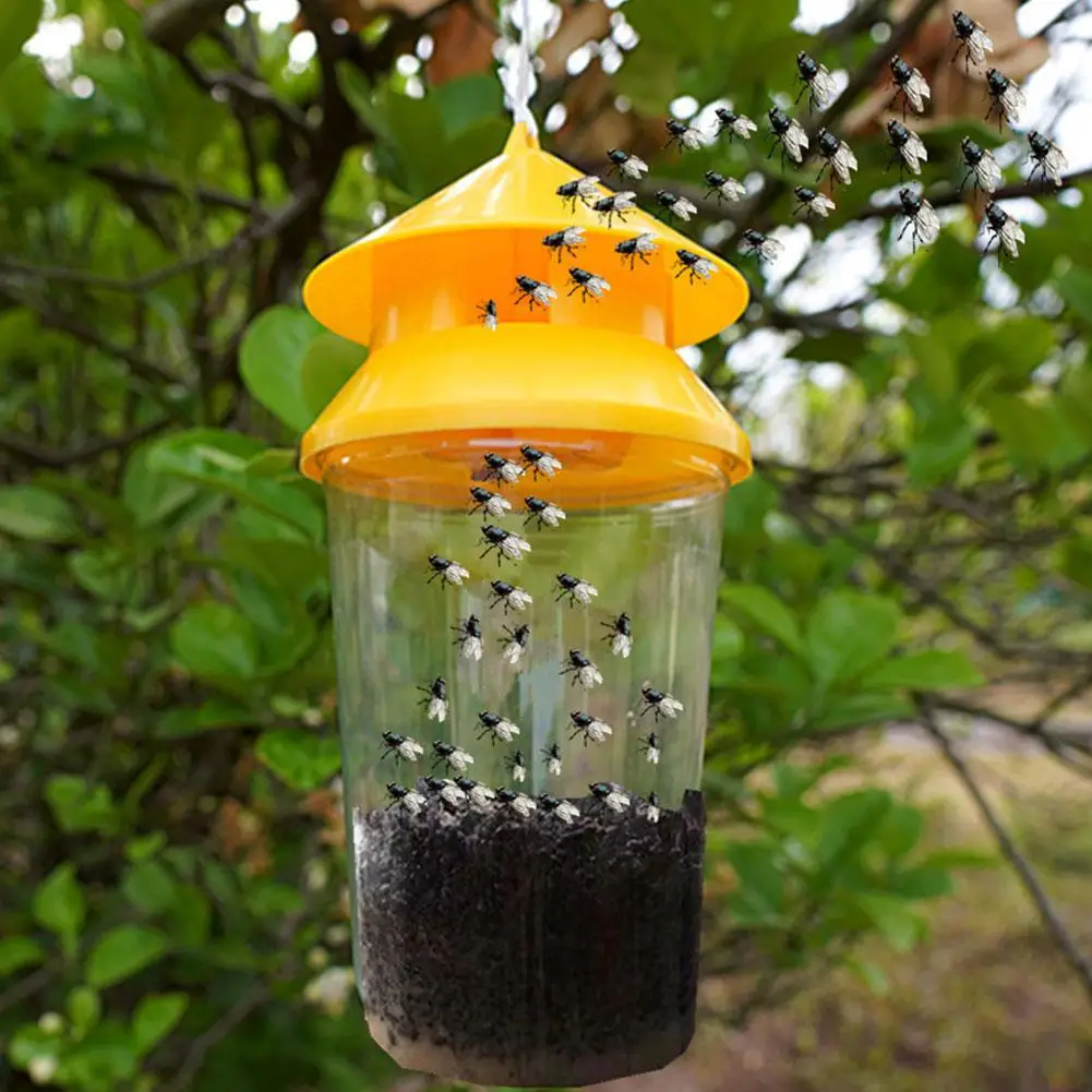 Ловушка для фруктов сада овощей сладкой дыни апельсинов маленькие фрукты мушка с
