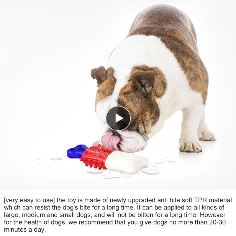 

Summer Dog Molar Stick Frozen Molar Toy Filled With Water Dog Bite Chewing Cooling Toy Pet Puppy Toy Filled With Water Dog Gifts