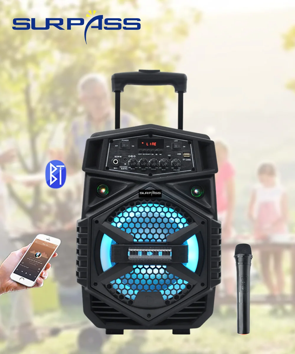 100W Outdoor Trolley Speaker Amplifier Speakers with Mic Portable Wireless Party Karaoke System Bluetooth-compatible Machine enlarge