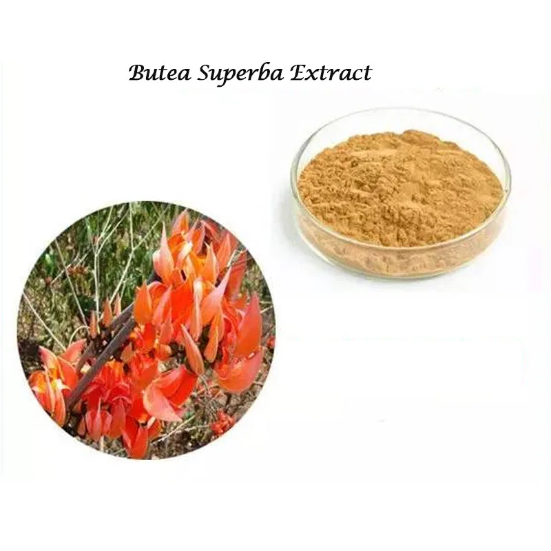 

Organic Butea superba - Red Kwao Krua -Enhance physical fitness, male charm, endurance 1bottle=400mg*60p