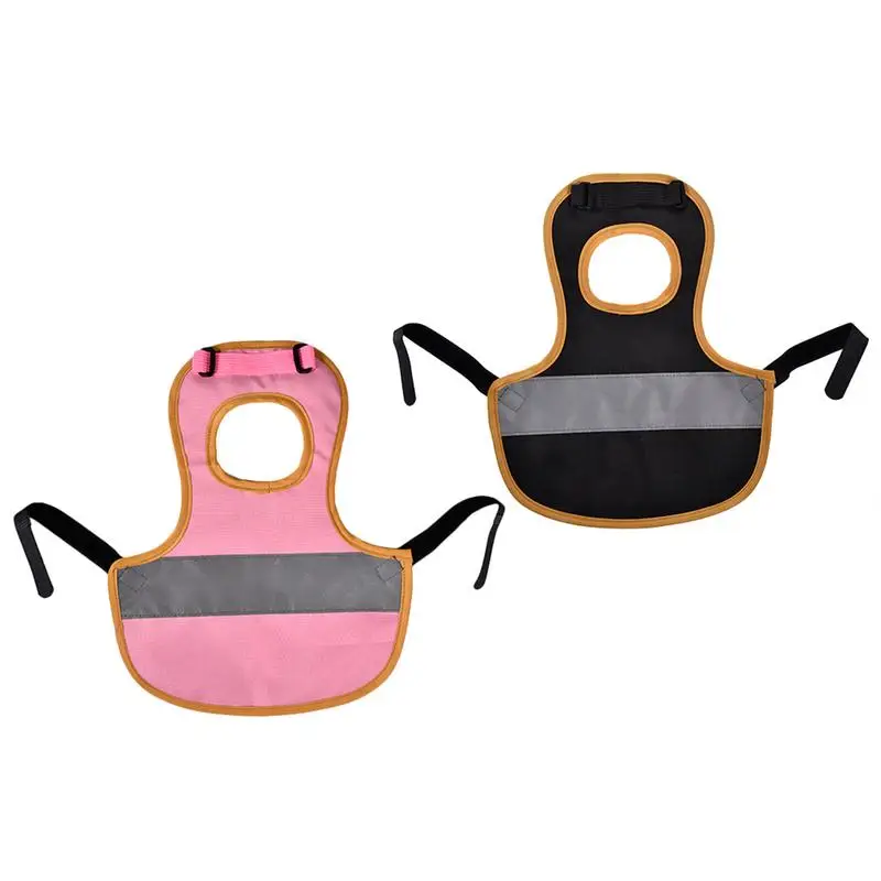 

Hen Saddle For Chickens Chicken Saddle Apron Poultry Apron With Single Strap Poultry Care Supplies For Standard Size Chicken