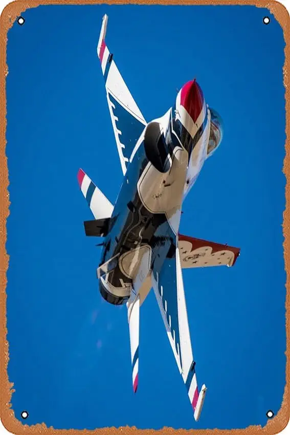 rBnk USF Thunderbrds vton Retro Vntge Decortve Metl Tn Sgn 8x12 nch