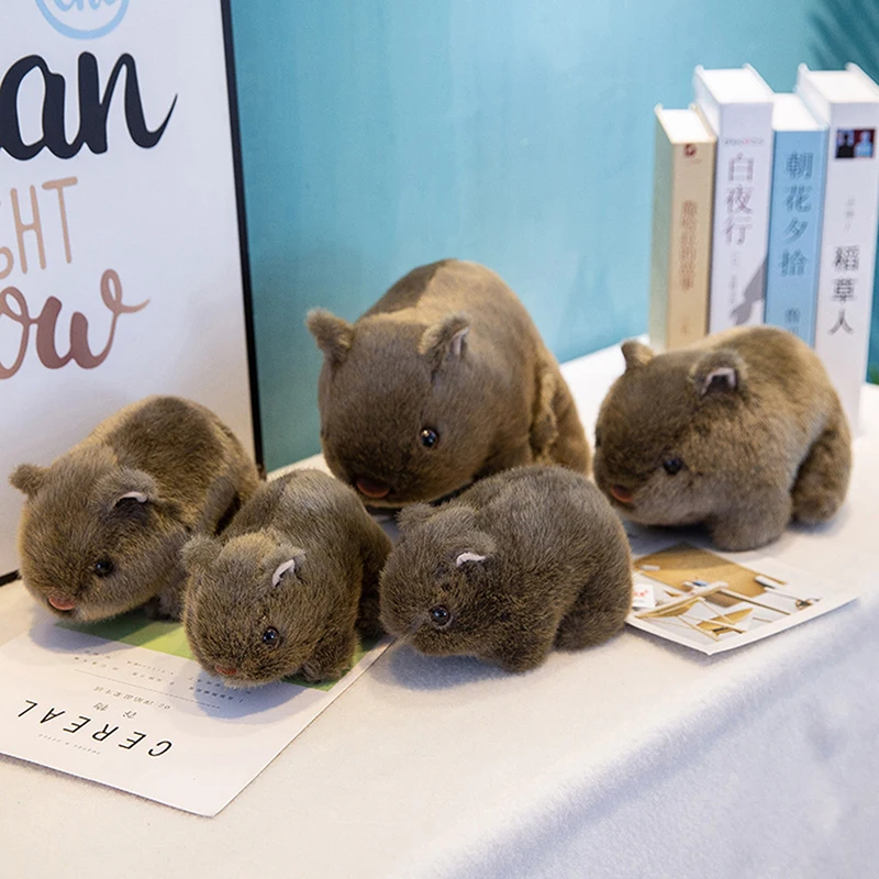 

Прекрасный внешний вид, практичная мягкая морская свинка без запаха, игрушки-животные, куклы, мышки для малышей, детские подарки, плюшевые и...