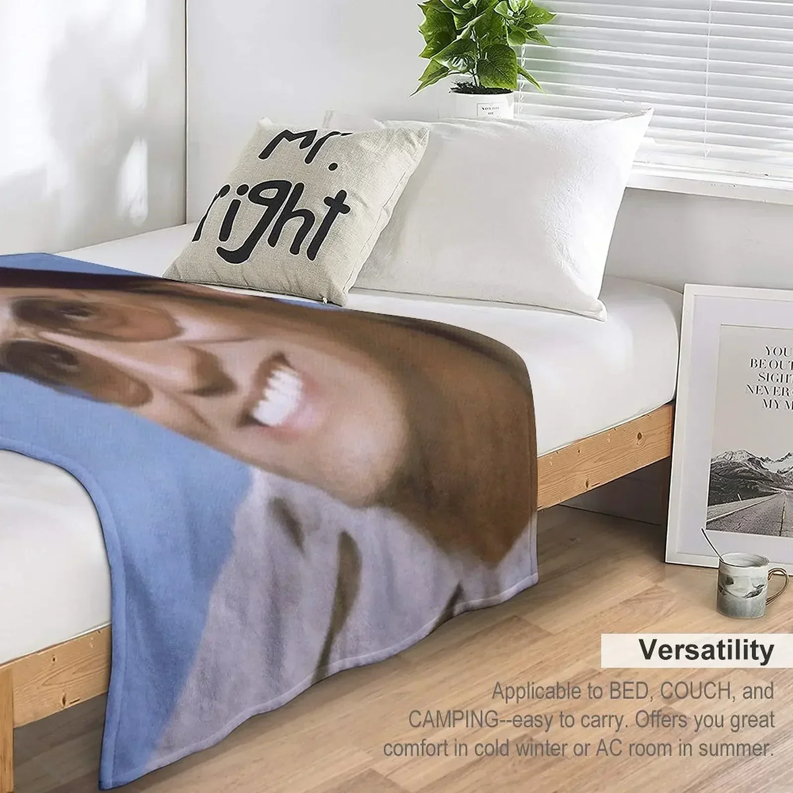 Эрик Мочкада Акторское одеяло Многоцелевые одеяла для дивана