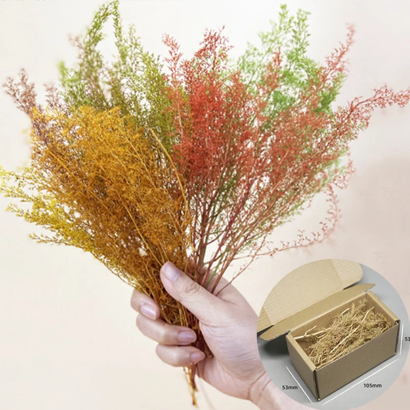 Моделирование сухая трава модель Сделай Сам сцена материалы для изготовления