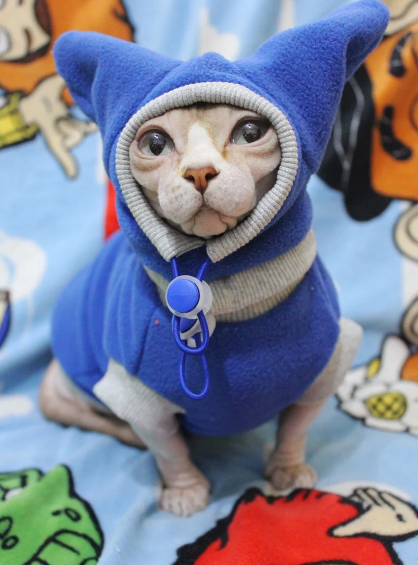 

MPK Новая серия кошачий свитер зимняя Милая теплая шапка шарф свитер набор из чистого хлопка также подходит для собак