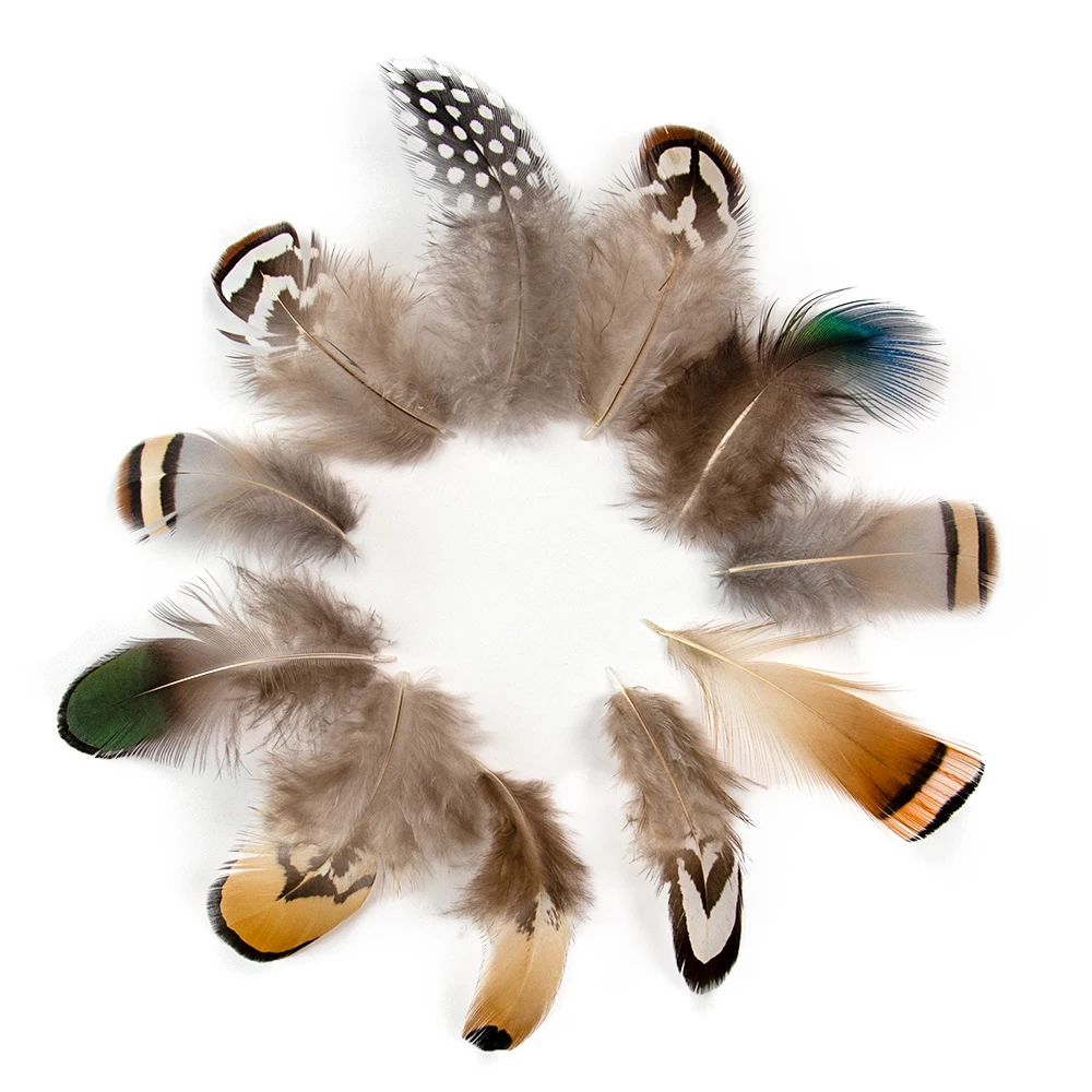 

Wholesale Natural Peacock Pheasant Feather for Needlework and Handicrafts Headdress Jewelry Creation Dream Catcher Plumes