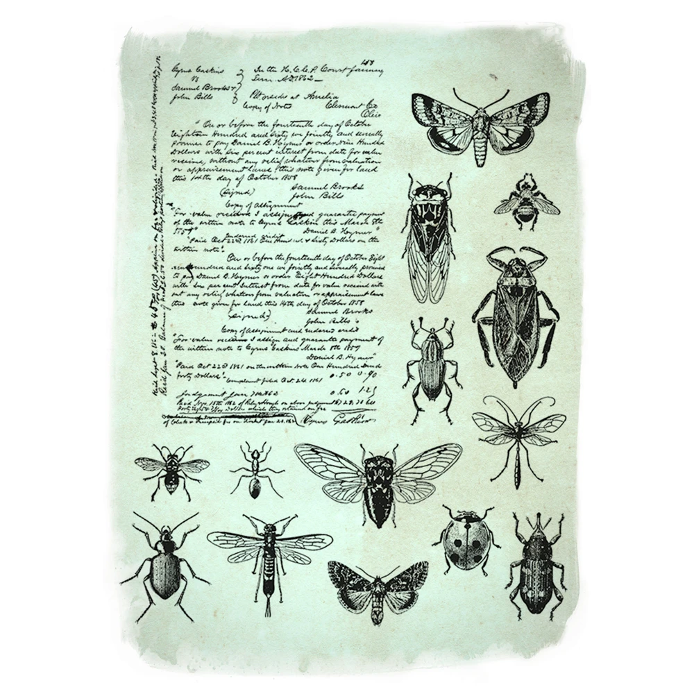 

Entomology Transparent Clear Silicone Stamps Seal for DIY Scrapbooking Photo Album Decorative Clear Stamps 11*16cm