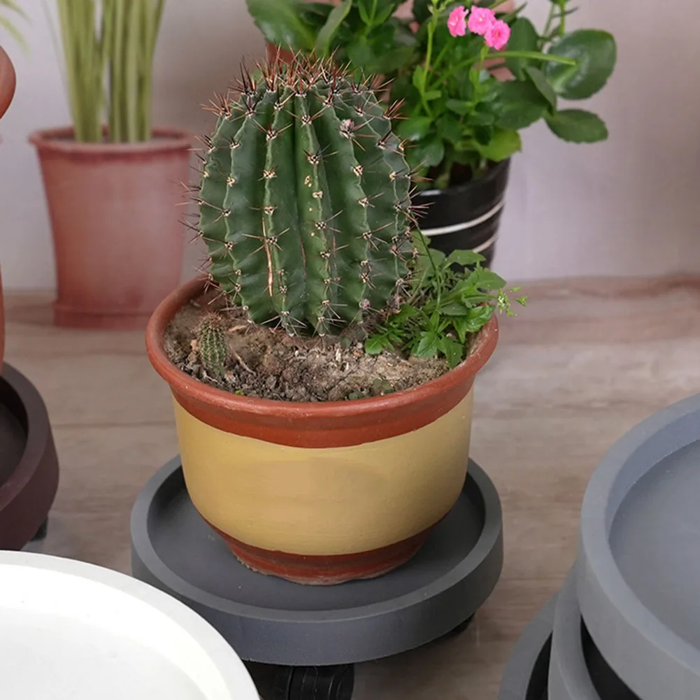 Поддержка мобильности Перемещение растений Внутренняя садовая дренажная