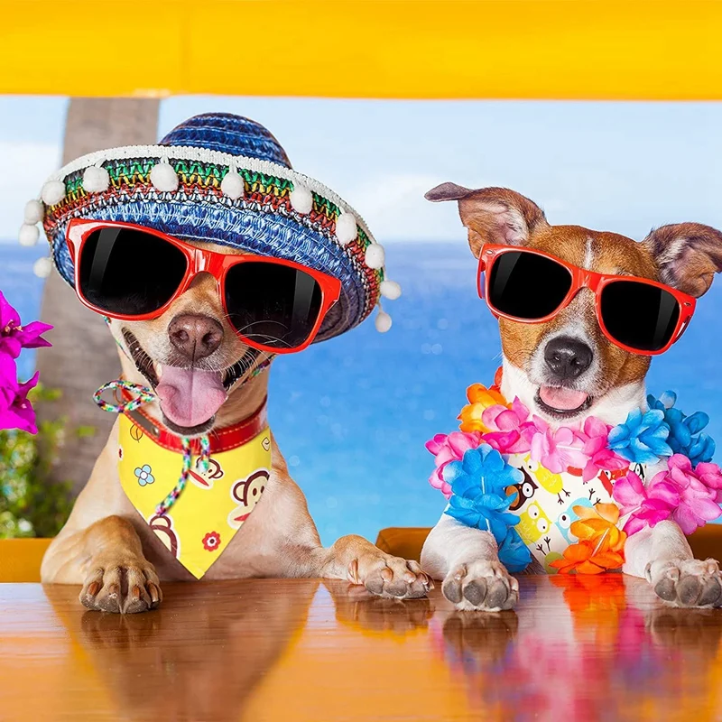 Акция! Сублимационная заготовка теплопередача моющаяся треугольная собака