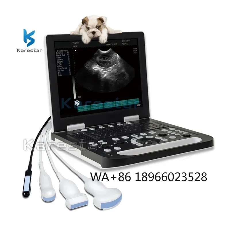 Ветеринарный ультразвук DP 50 ветеринарный Mindray портативный цветной доплеровский