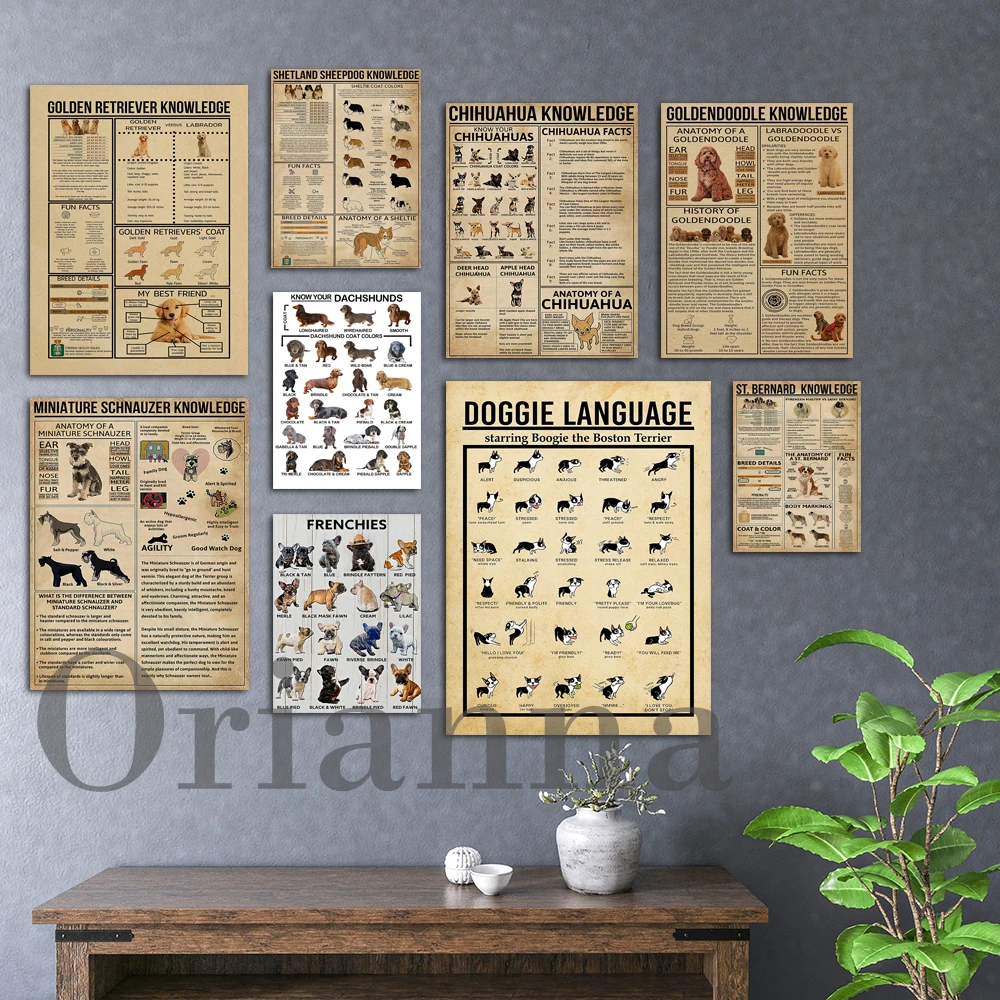 

Terrier Goldendoodle Retriever Schnauzer Sheepdog St.Bernard Chihuahua Beagle Knowledge Poster,Dachshund Bulldog Breed Prints