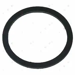 

ANGELO PO FLAT GASKET EPDM 47x39x2 mm