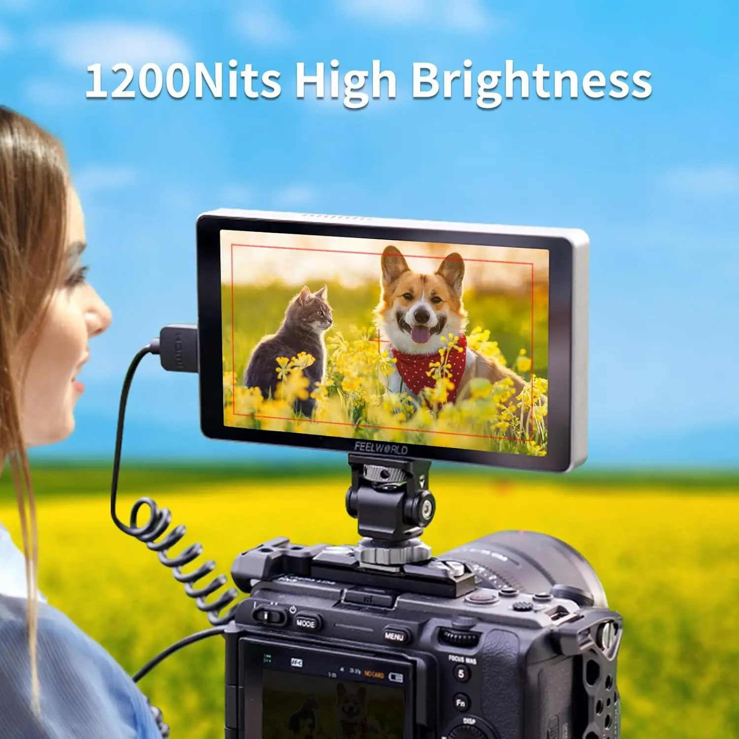 Фото FEELWORLD P6XL 1200nit 6-дюймовый алюминиевый монитор для DSLR-камер со встроенным аккумулятором, сенсорным экраном, 4K HDMI, высокой яркостью №3