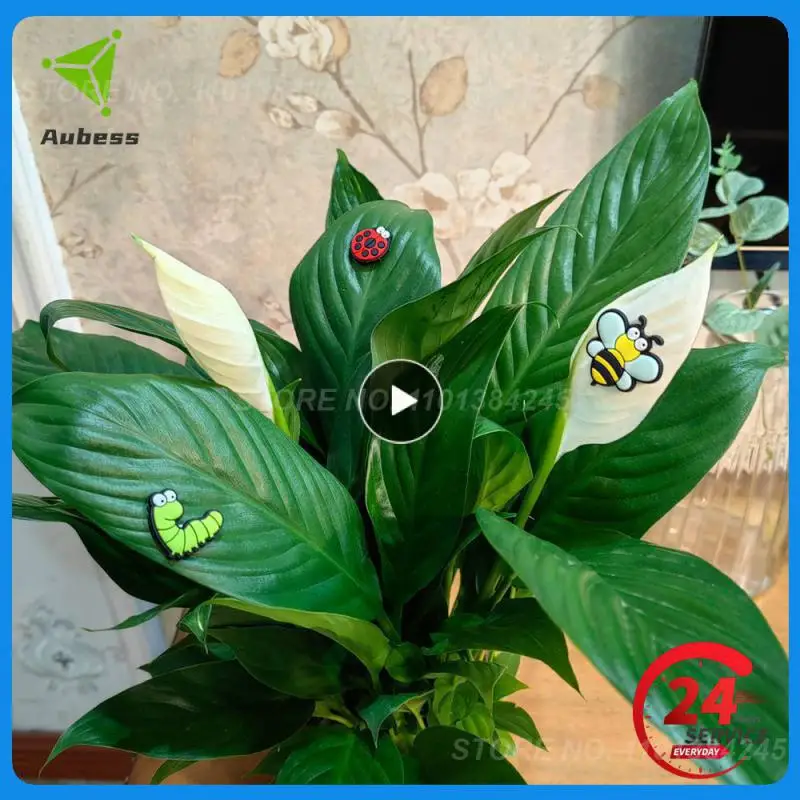

Magnet Eyes Eye Insect Material Safety Light Weight Unique Gift Lovely Plant Leaves Magnet Decoration Lovely Plants. Water Proof