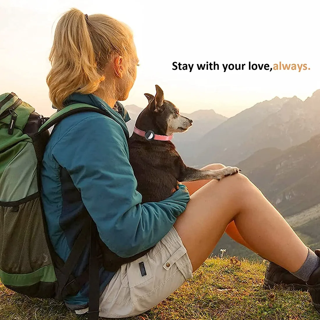 Держатель для ошейника кошки держатель совместимый с GPS-трекером Apple Airtag 2 шт. в