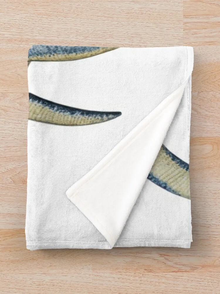 Плезиозавр-динозавр для любителей рептилий паледонтологии и динозавров. Пледы.