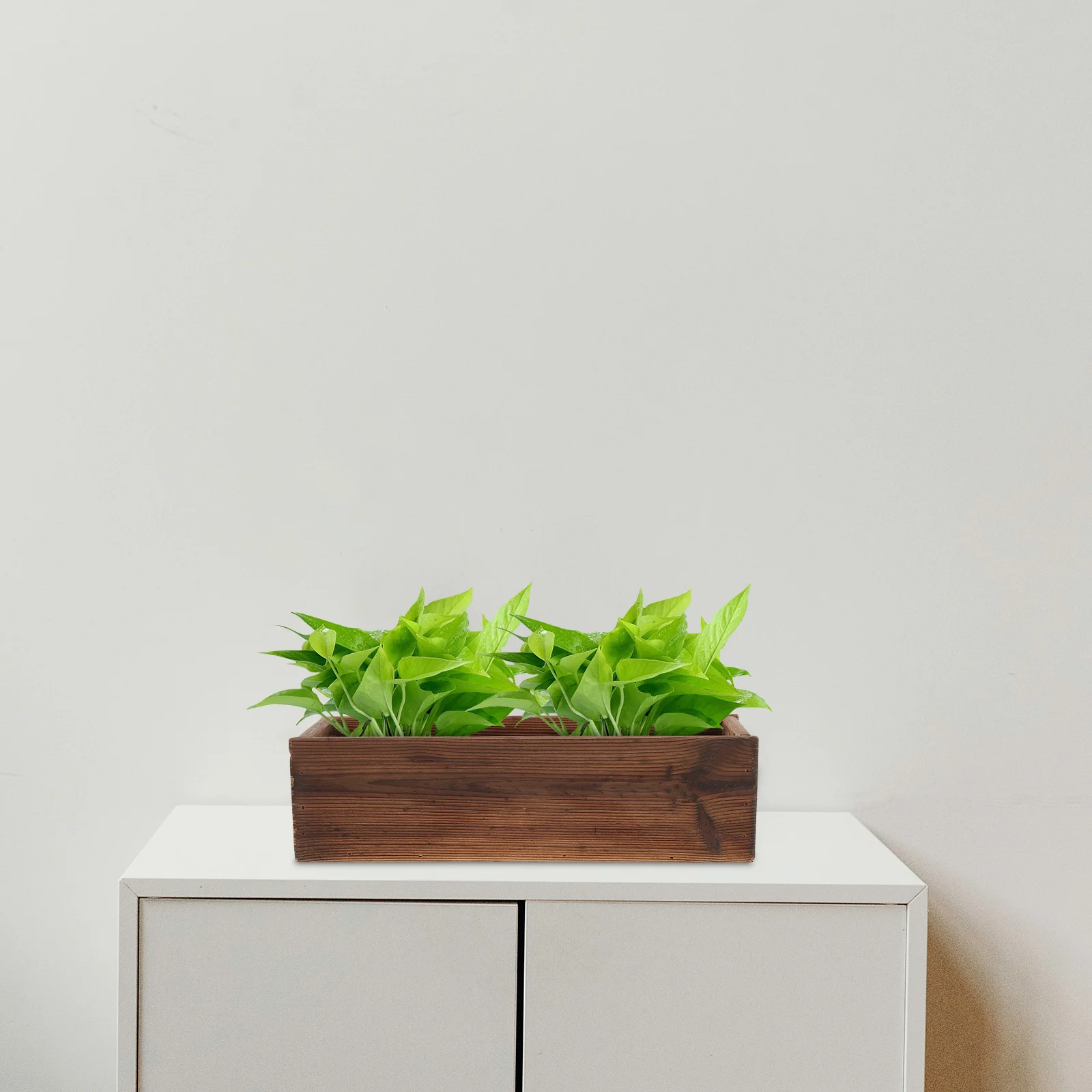 Цветочные горшки для комнатных растений садовый горшок цветочная оконная