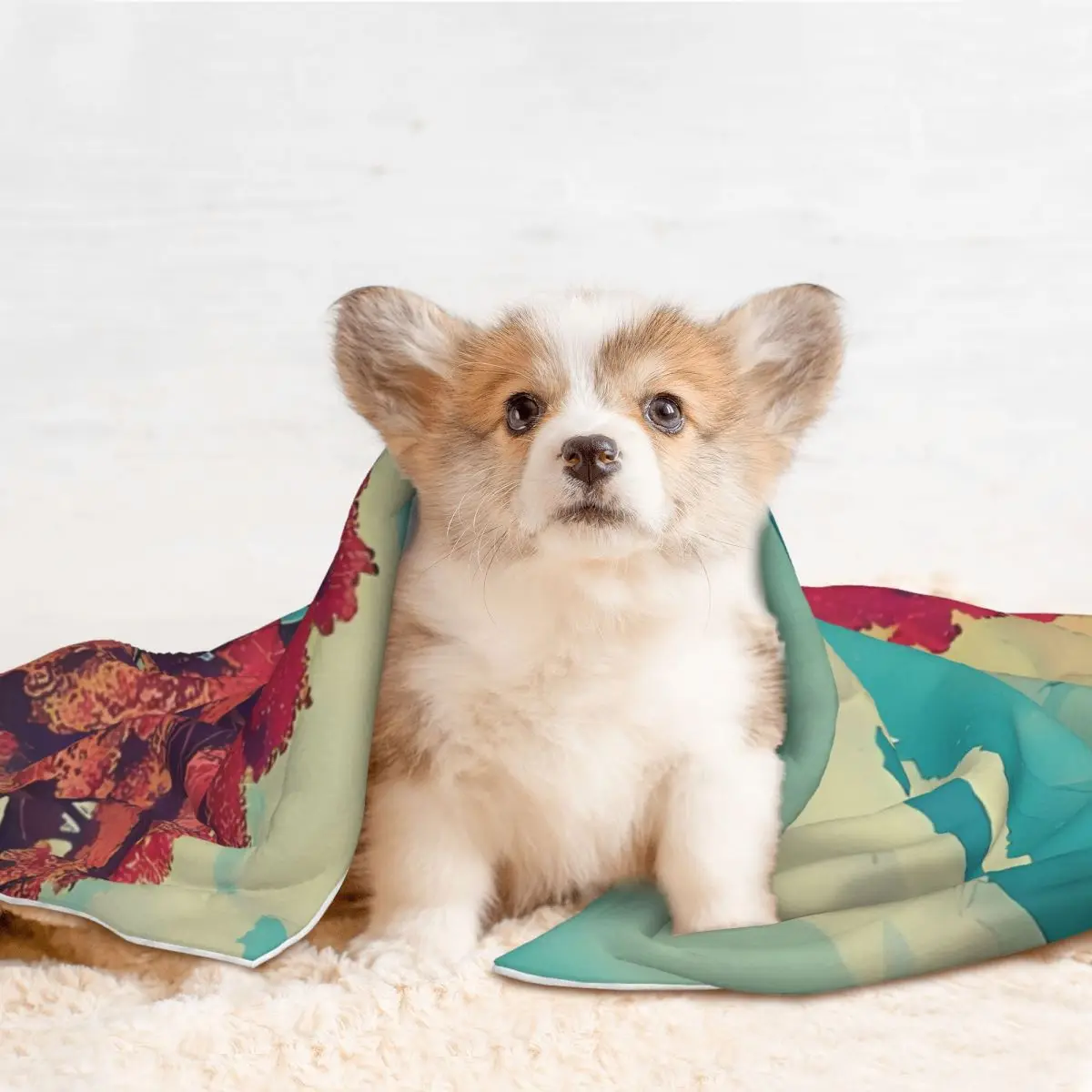 Новый год в Hisseii-одеяло для домашних животных с природным ландшафтом бархатное