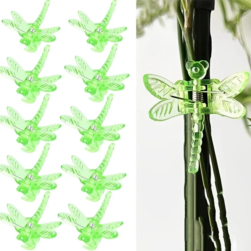 10 шт., зажимы для стрекозы, садовые зажимы для орхидей, растений, цветы, поддержка виноградной лозы, фиксированная застежка для стебля, завязанная ветка, украшение для бонсай