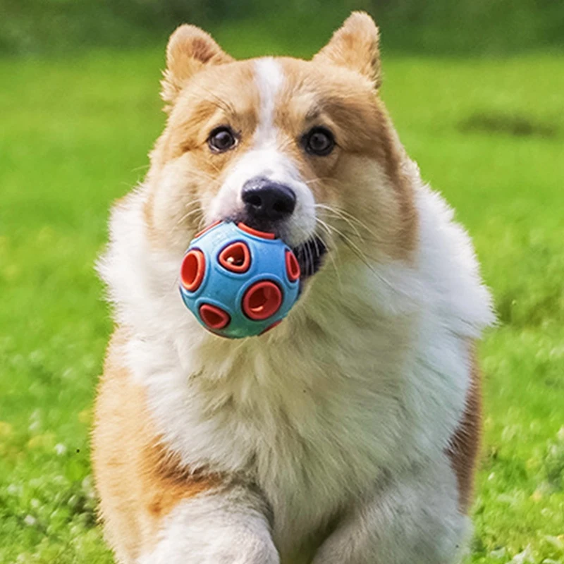 

Игрушки для собак, забавный интерактивный мяч, игрушка для жевания собак, мяч для еды, резиновые мячи, товары для домашних животных