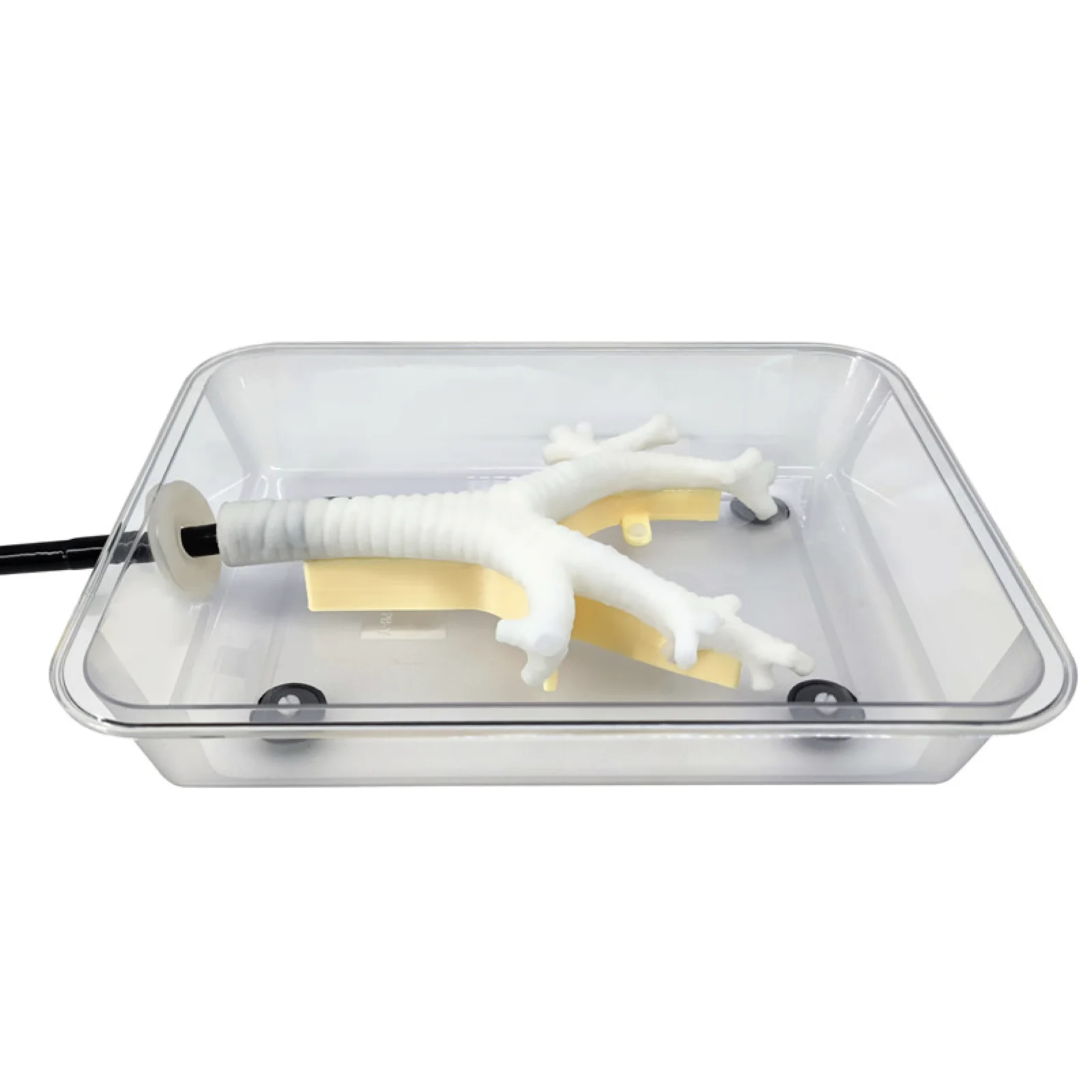 KyrenMed тренировочный симулятор бронхоскопии волокнистая Бронхоскопия вторичная