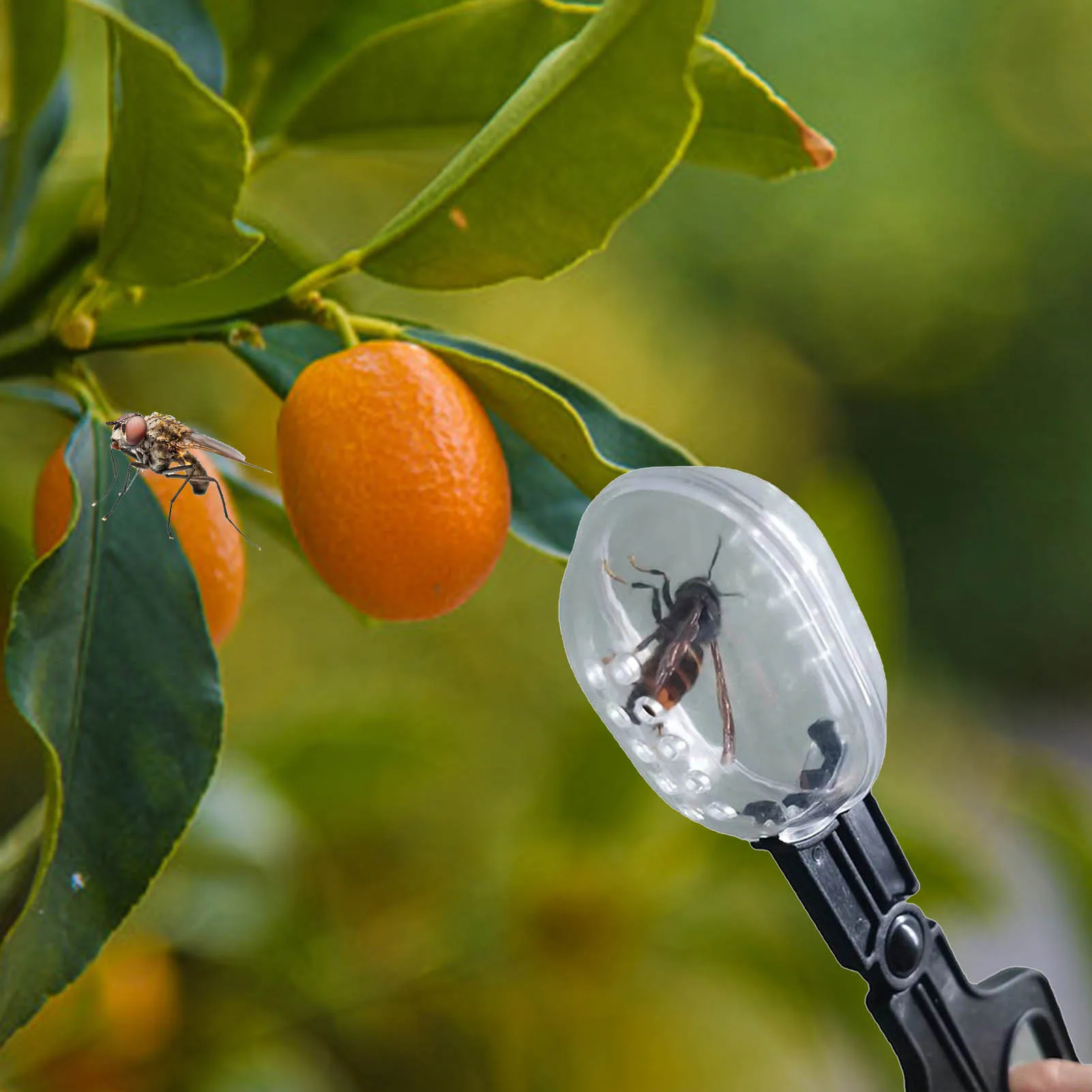 Зажимы для пчелиных маток инструмент пчеловодства |