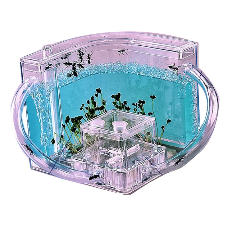 

DIY Luminous Ant Workshop Ant Villa Workshop Home Castle Ant Farm Underground Children Educational Toys Children Science 21*11cm