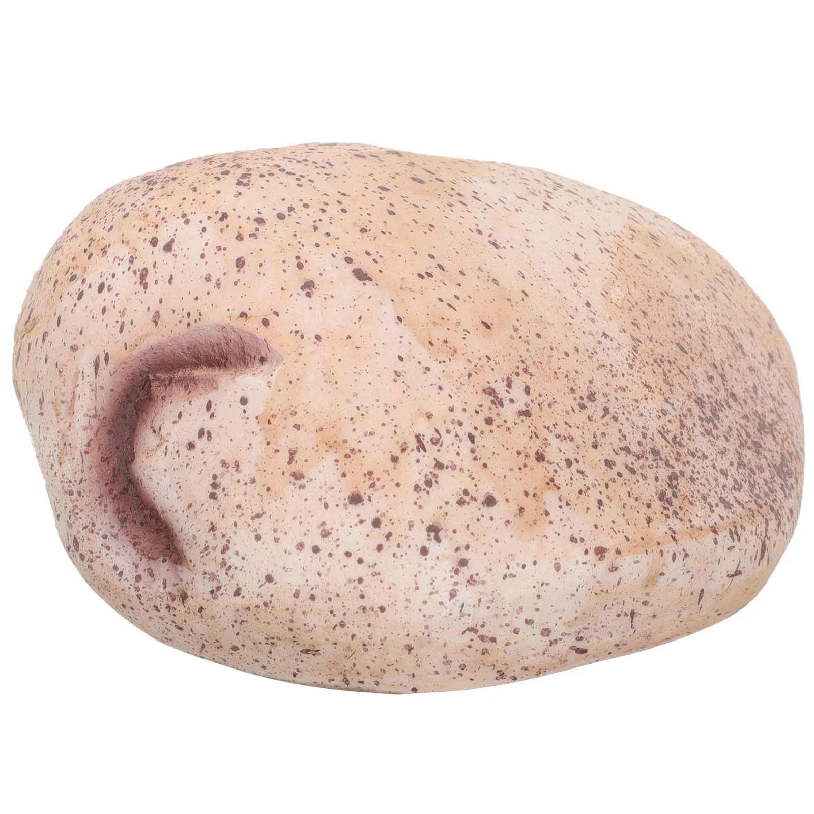 

Rock Key Stash Box Decor Decorating Realistic Ornament Resin Garden Fake Branch