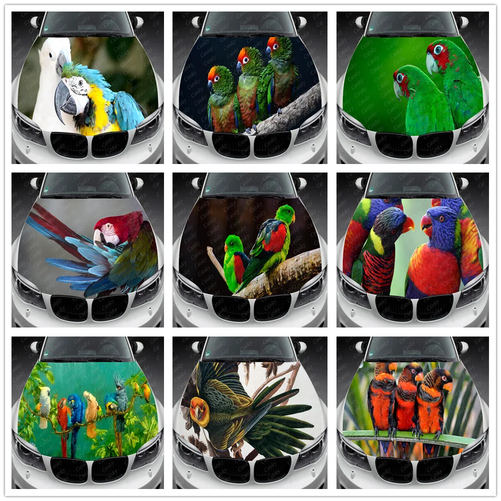 

Parrot Car Decal Car Hood Wrap Decal Vinyl Sticker Full Color Graphic Fit Any Car Car Hood Wrap Decal Vinyl Stickers