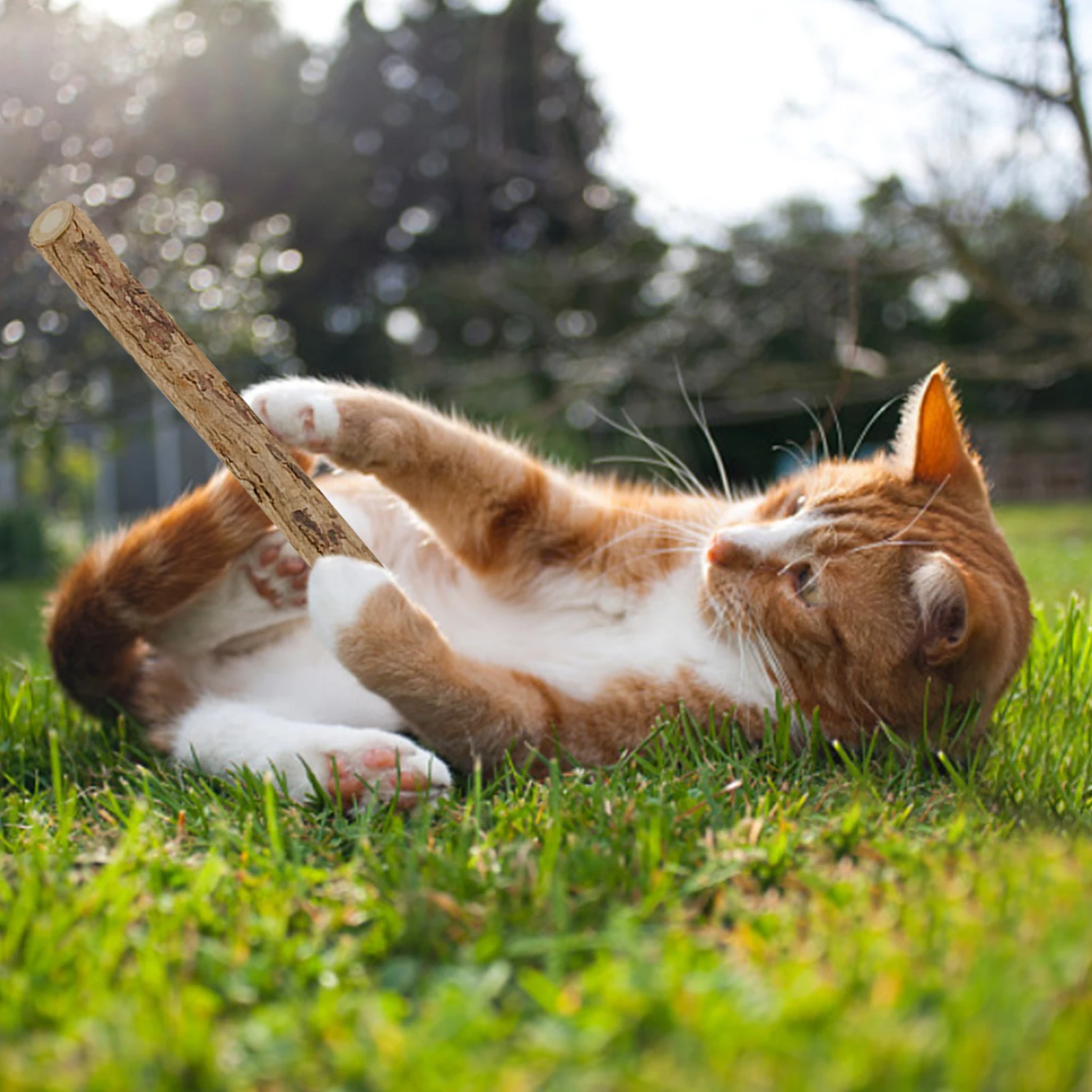 

30-PCS Natural Catnip Pet Cat Molar Silvervine Toothpaste Stick Cat Snacks Sticks Pet Cleaning Brushing Teeth Molar Tools