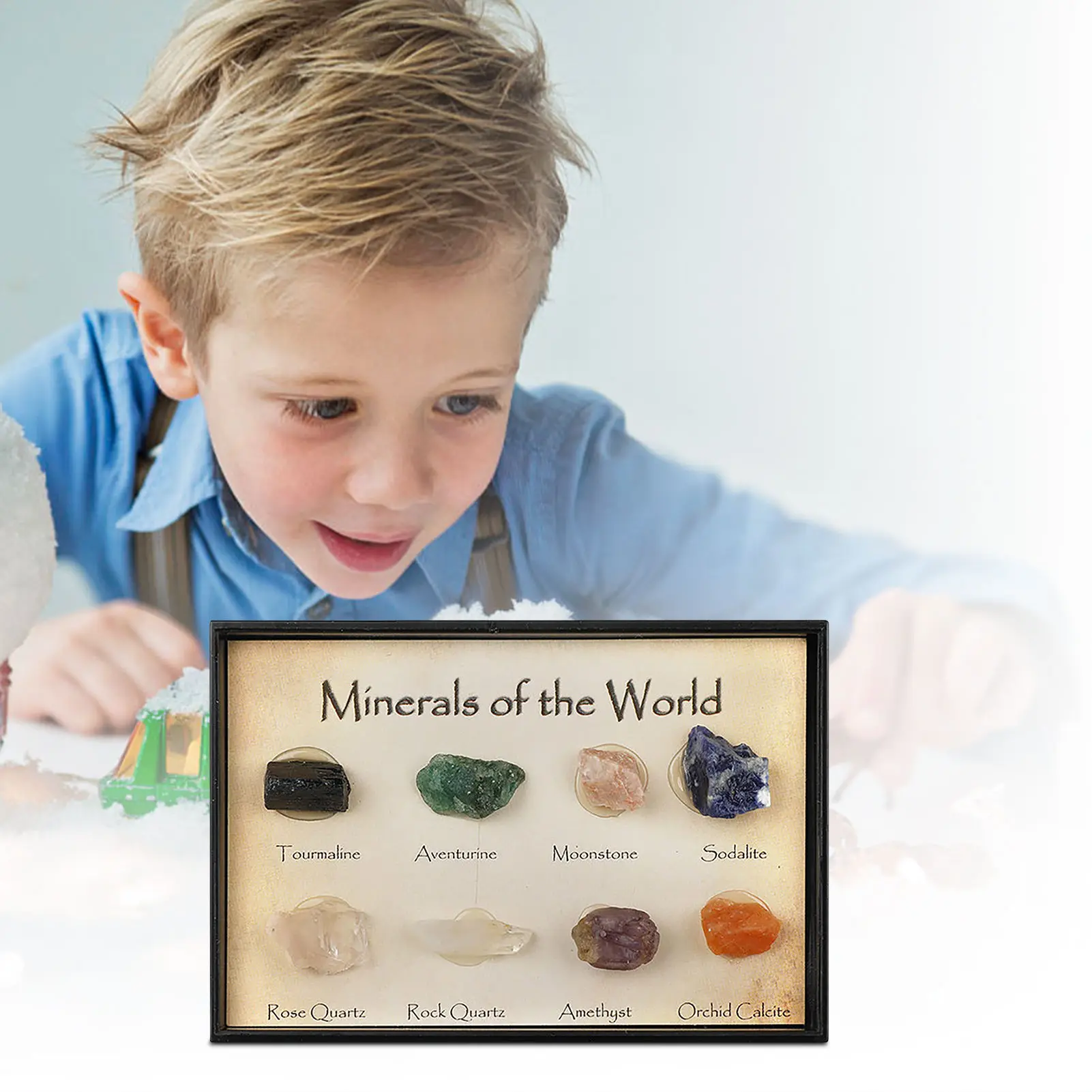

8Pcs Natural Stone Specimen Collection Gift Box Acrylic Mineral Rough Stone Crystal Agate For Kids Natural Science Education