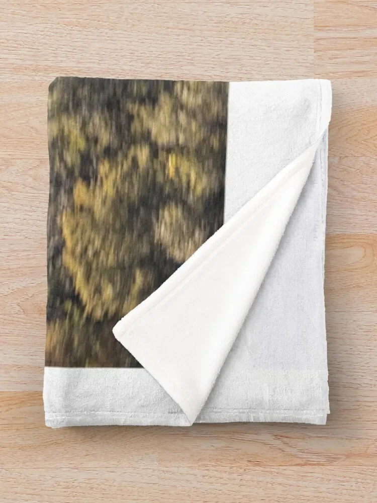 Боинг-Stearman модель 75 (стандартная) при взлете бросающееся одеяло пушистые