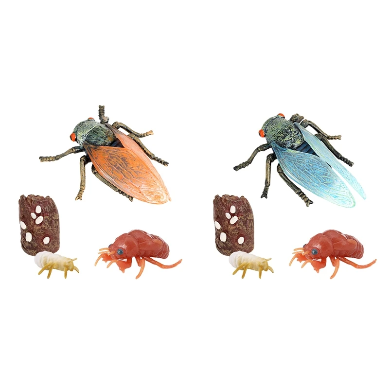 

4Pcs Cicada Toy Life Cycle Insect Growth Cycle Cicada Insect Farm Animal Growth Model Kids Cognitive Toy
