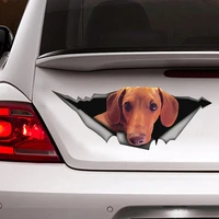 red dachshund sticker dog car decal vinyl decal car decoration dachshund sticker pet decal