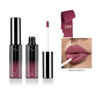 liquid lipstick hot sexy colors lip paint matte lipstick waterproof long lasting lip gloss lip kit makeup