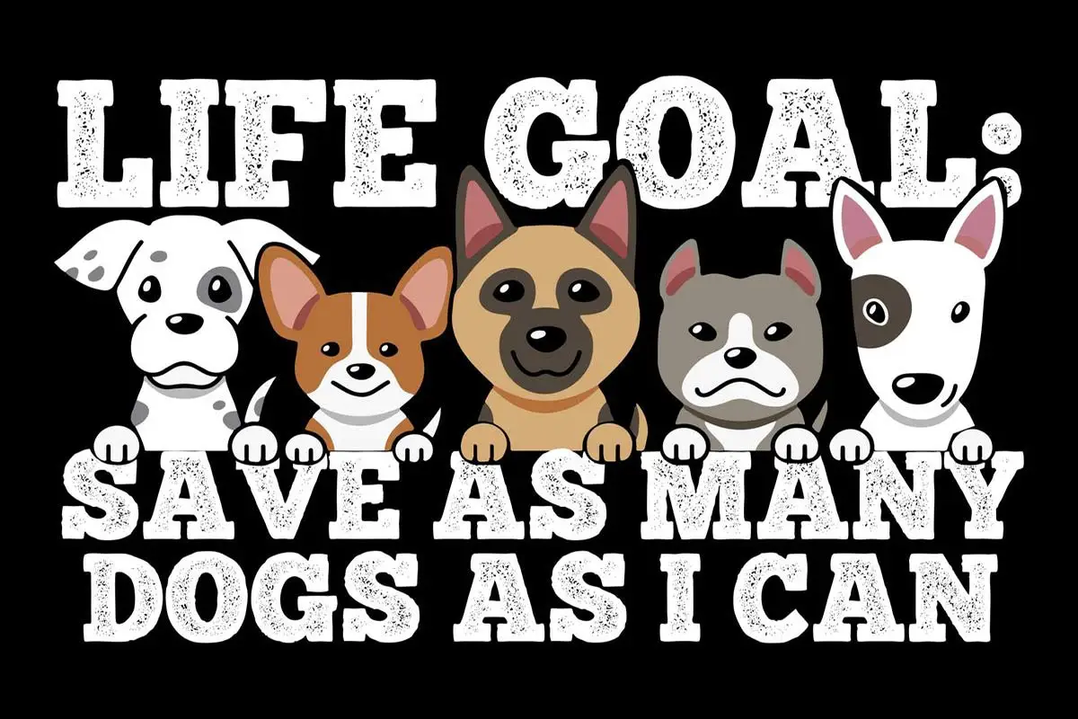 

Оловянная табличка в стиле ретро с металлическим знаком для собаки