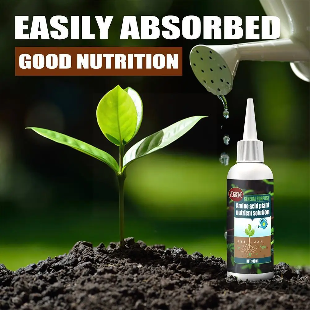 Liquid Plant Rapid Rooting Agent Strong Seedling Protein Regulator Amino Acid Nutrient For Country House And Pl W4G8 |