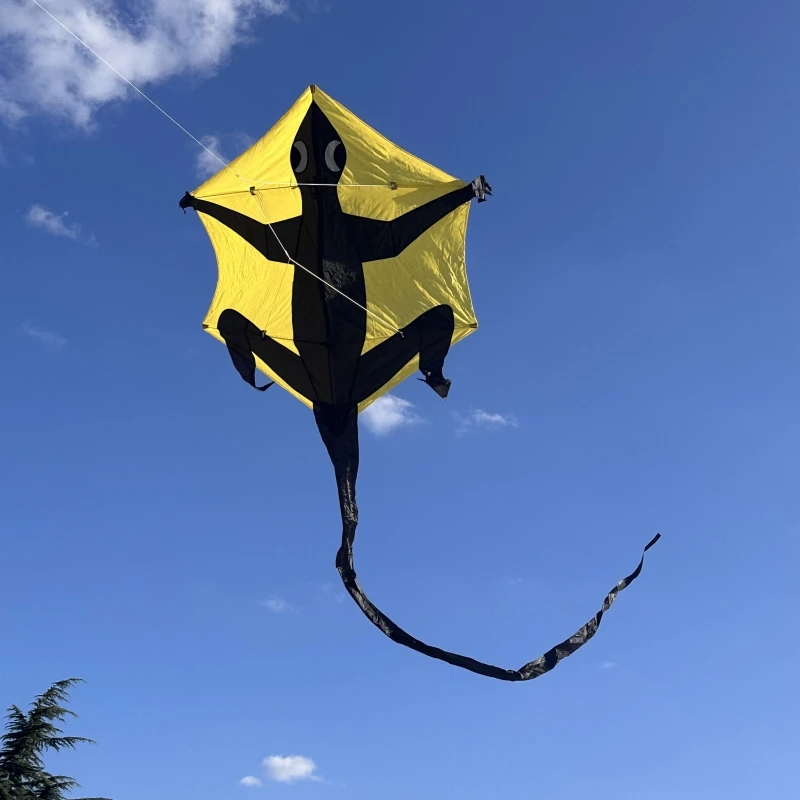 Бесплатная доставка Гекон воздушные змеи для взрослых куй Дракон ветер