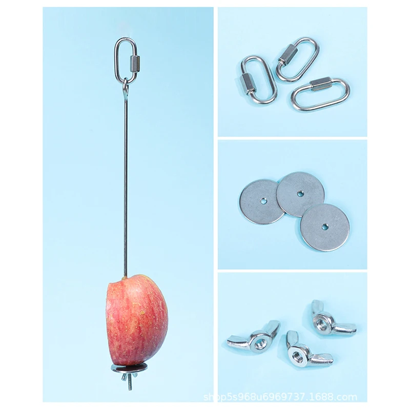 Pet Parrot Accessories