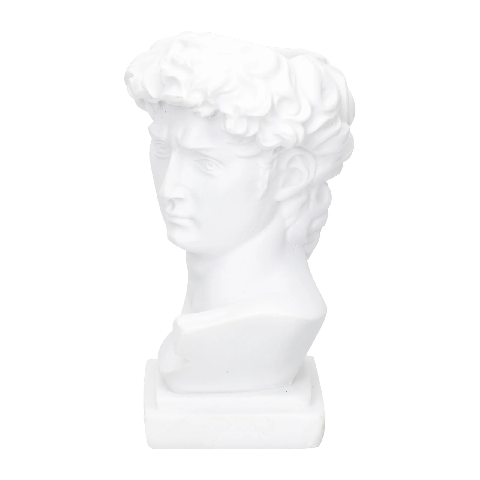 

Statue David Holder Vase Planter Head Greek Brush Flower Resin Sculpture Pen Bust Pot Human Container Makeup Gypsum Succulent