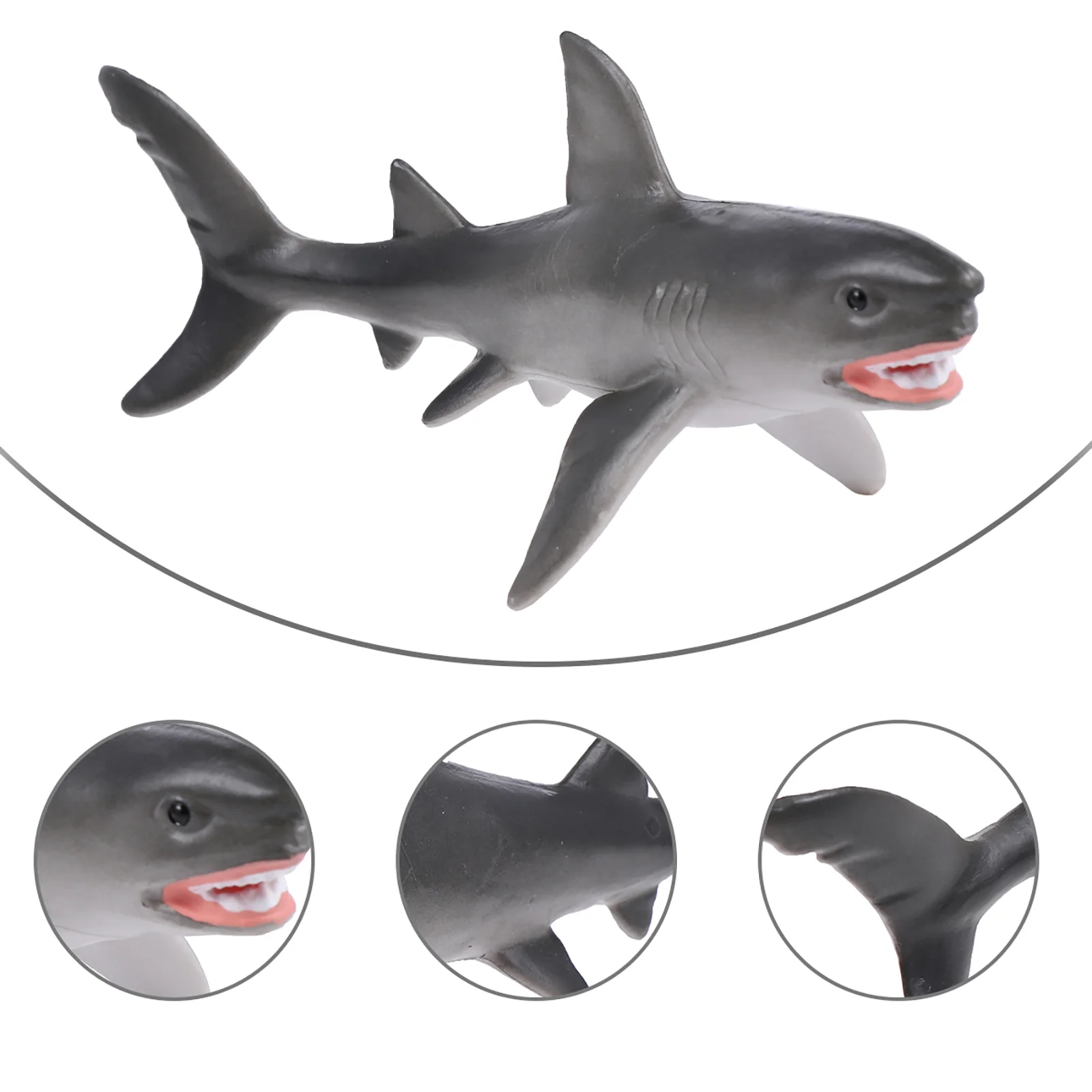 

1Pc Marine Animals Model Model Simulation Animals Model