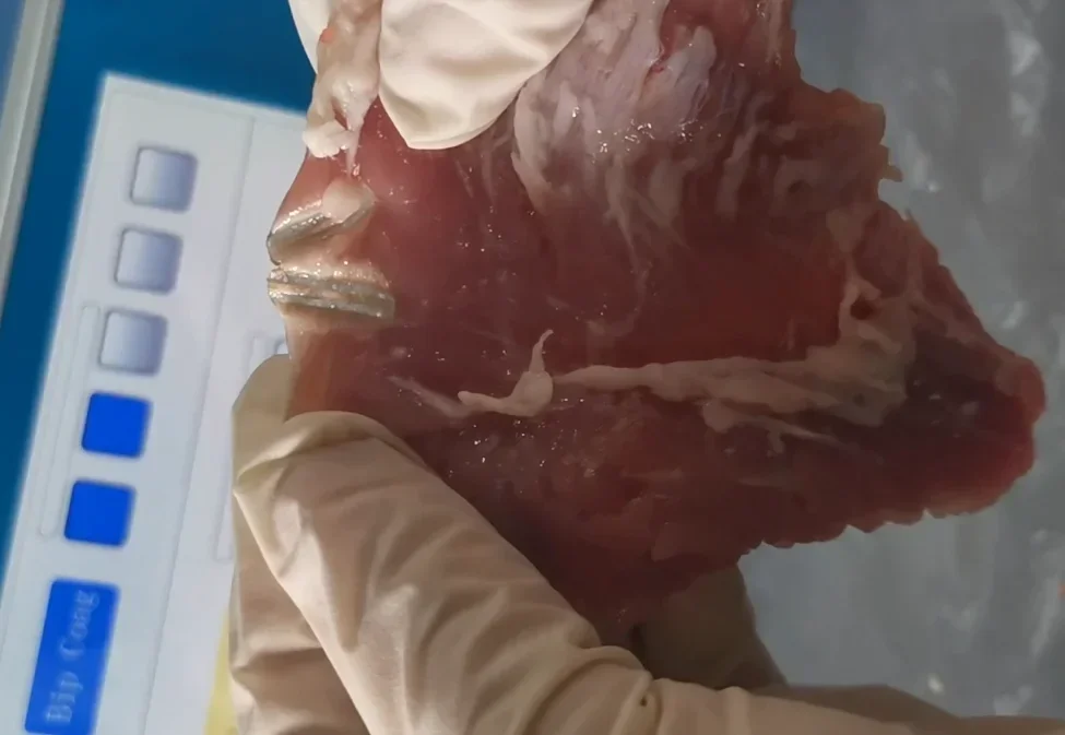 Герметик для сосудов ligasure Maryland герметик/Разделитель с нанопокрытием и