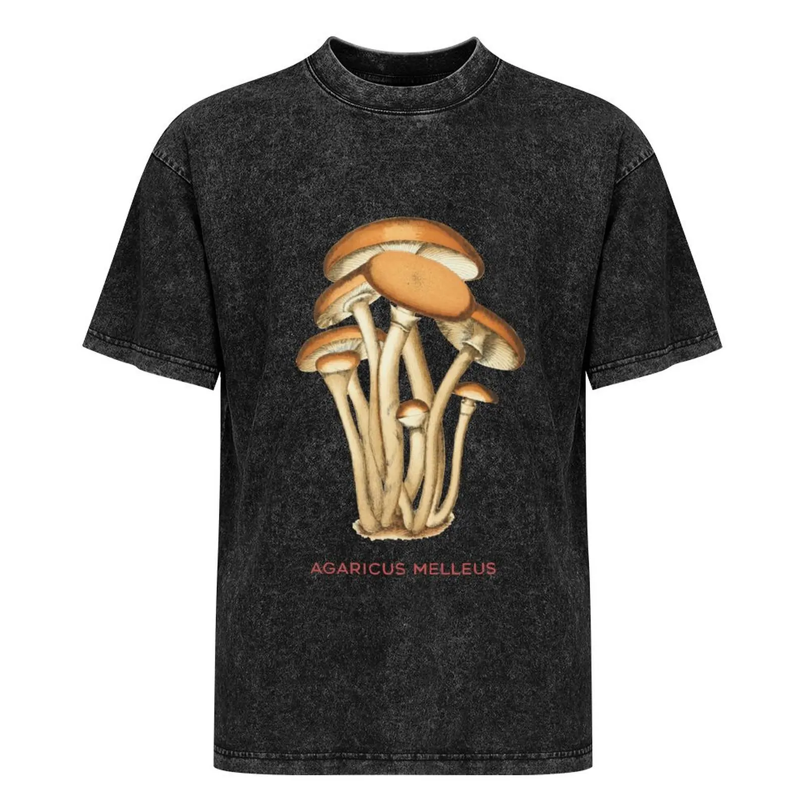 Футболка с медовым грибком или Agaricus melleus мужская роскошная футболка винтажные