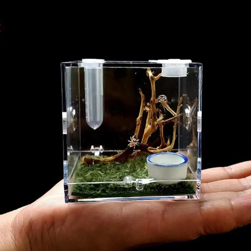 

1Pcs Breeding Box Clear Acrylic Cage Small Reptiles Breeding Box Habitat For Spider Lizard Scorpion Centipede Horned Frog Beetle