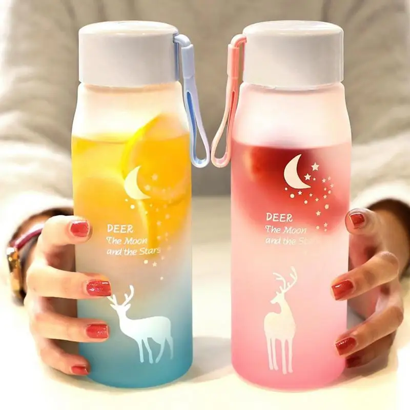 

560ml Frosted Water Cup Sports Water Bottle With Strap Leak Proof Water Cup Student Accompanying Cup For Cycling Running Camping