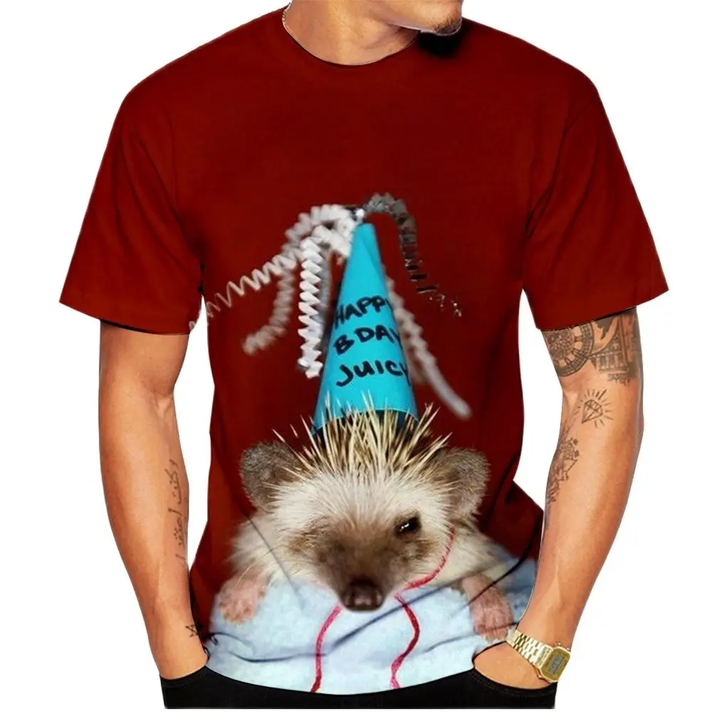 

Summer Hedgehog 3D Print T-Shirt Men's Women's Fun Casual Crew Neck Short Sleeve Top