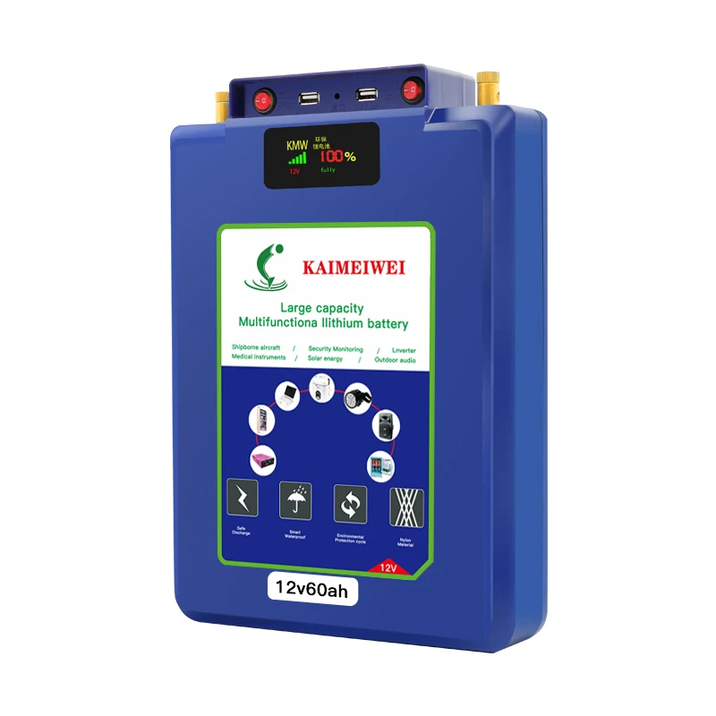 

Manufacturer 12V 60Ah Lifepo4 Battery Pack Baterias De Litio Deep Cycle Lithium Ion Cells Batteries