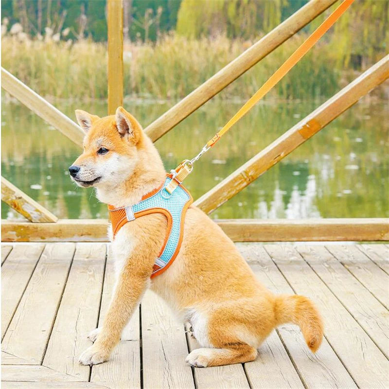 

Товары для домашних животных, новинка, нагрудная шлейка для домашних животных, жилет, дышащий поводок для собак, Светоотражающий Жилет для с...